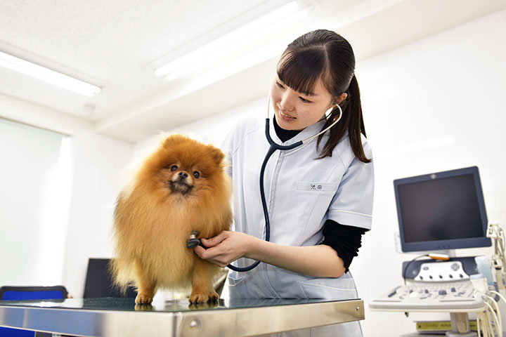 スカイ総合ペット専門学校