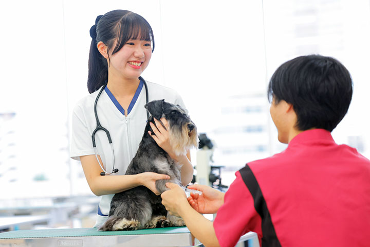 専門学校 ちば愛犬動物フラワー学園